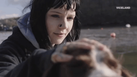 rise GIF by Needles & Pins