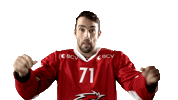 Lhc Lausannehc Sticker by Lausanne Hockey Club