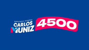 Deputado Voto GIF by Carlos Muniz