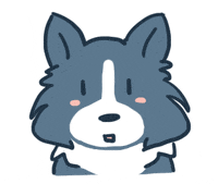 yoinstory dog coin call turn around GIF