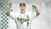 mardi gras baseball GIF by GreenWave