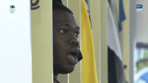 Bbnaija GIF by Big Brother Naija