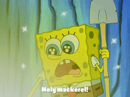 season 4 GIF by SpongeBob SquarePants