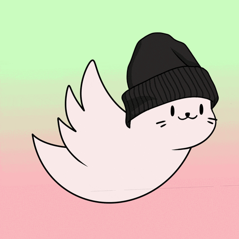 Fun Flying GIF by Sappy Seals Community