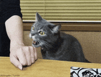 sorry taste GIF
