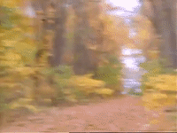 season 1 GIF
