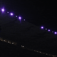 Bow Down University Of Washington GIF by Washington Athletics