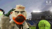 college football GIF by Miami Hurricanes