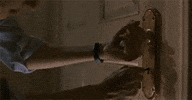 lock door GIF