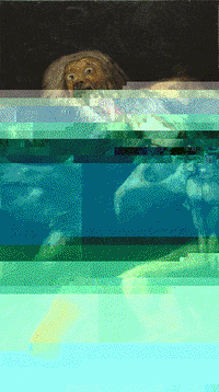 loretoriveros art glitchart painting goya GIF