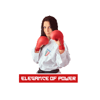DMTC_Sport karate dmtc dmtcsport eleganceofpower Sticker
