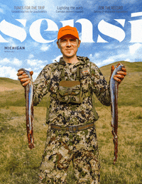 sensimag  GIF