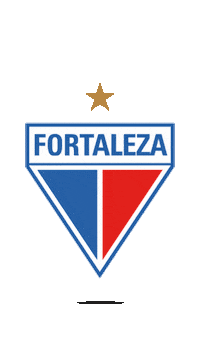 Copa Do Nordeste Futebol Sticker by TV Jornal Interior