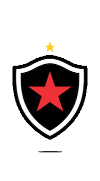 Copa Do Nordeste Futebol Sticker by TV Jornal Interior