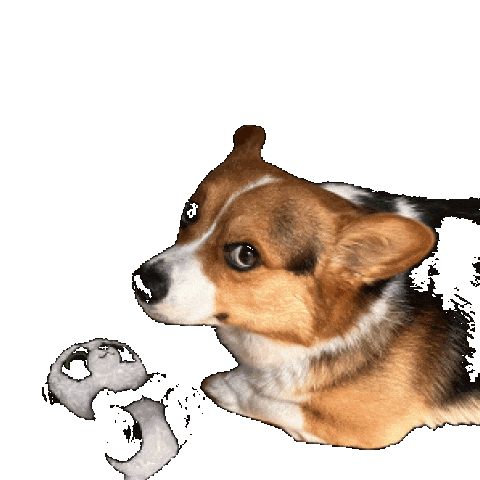 Dog Corgi Sticker