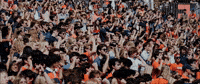 Virginia Football Fans GIF by Virginia Athletics