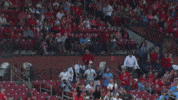 St Louis Cardinals Sport GIF by MLB