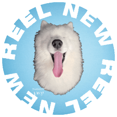 Video Reel Sticker