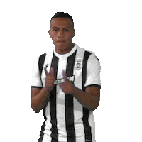 Football Paokfamily Sticker by PAOK FC