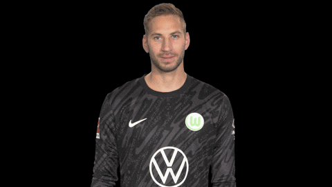 Germany No GIF by VfL Wolfsburg