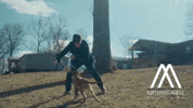 Dog Playing GIF by Better Noise Music