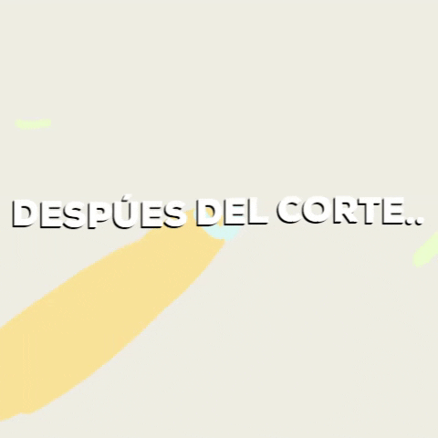 annette_pedro giphygifmaker GIF