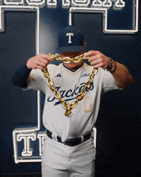 Georgia Tech Baseball GIF by Georgia Tech Yellow Jackets