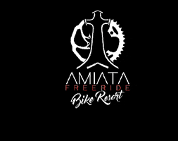 amiatafreeride bike mtb downhill freeride GIF