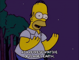 homer simpson episode 10 GIF