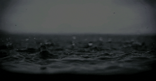weather GIF by Poncho