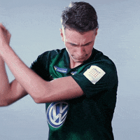 fifa 18 football GIF by VfL Wolfsburg