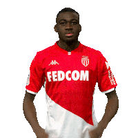Ligue 1 Football Sticker by AS Monaco
