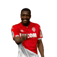 Ligue 1 Football Sticker by AS Monaco