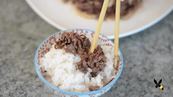 Korean Bbq Food GIF