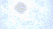 Genshin Impact GIF