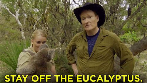 teamcoco giphyupload australia conan giphycocoaus GIF