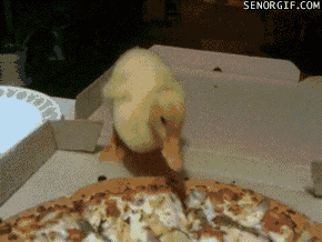 best of week eating GIF by Cheezburger