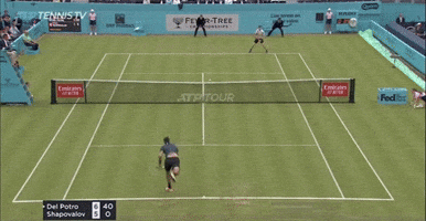 Shapo stab volley vs. del Potro