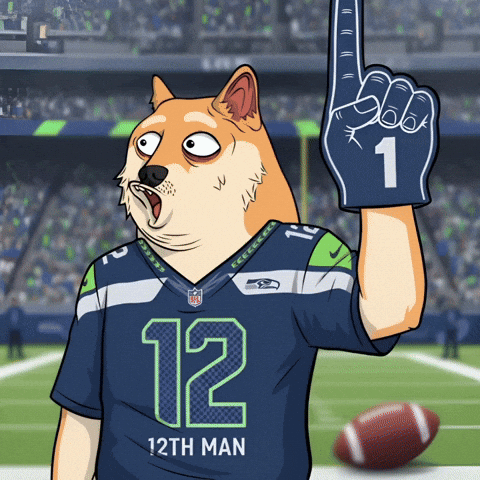 Seattle Seahawks GIF by Doge Pound