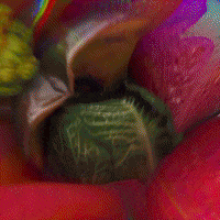 Fight Spinning GIF by La Guarimba Film Festival