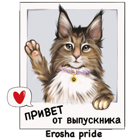 Erosha Sticker