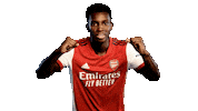 Celebrate London Sticker by Arsenal