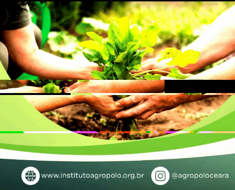 institutoagropolos giphygifmaker agro instituto agropolos GIF