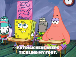 season 6 GIF by SpongeBob SquarePants