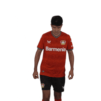 Awesome Goal GIF by Bayer 04 Leverkusen