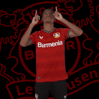 Happy Celebration GIF by Bayer 04 Leverkusen