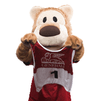 Sport Skiing Sticker by Generali.si