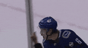 celebrate ice hockey GIF by NHL