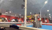 Puerto Rico Racing GIF