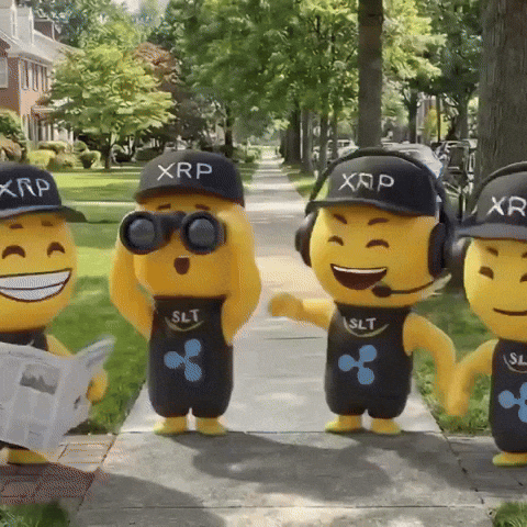 Awesome Lets Go GIF by SaluteXRPL